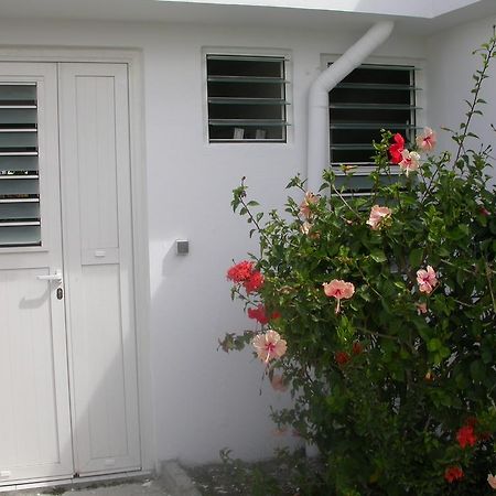 圣安娜Maison De Vacances A St Anne Martinique别墅 外观 照片