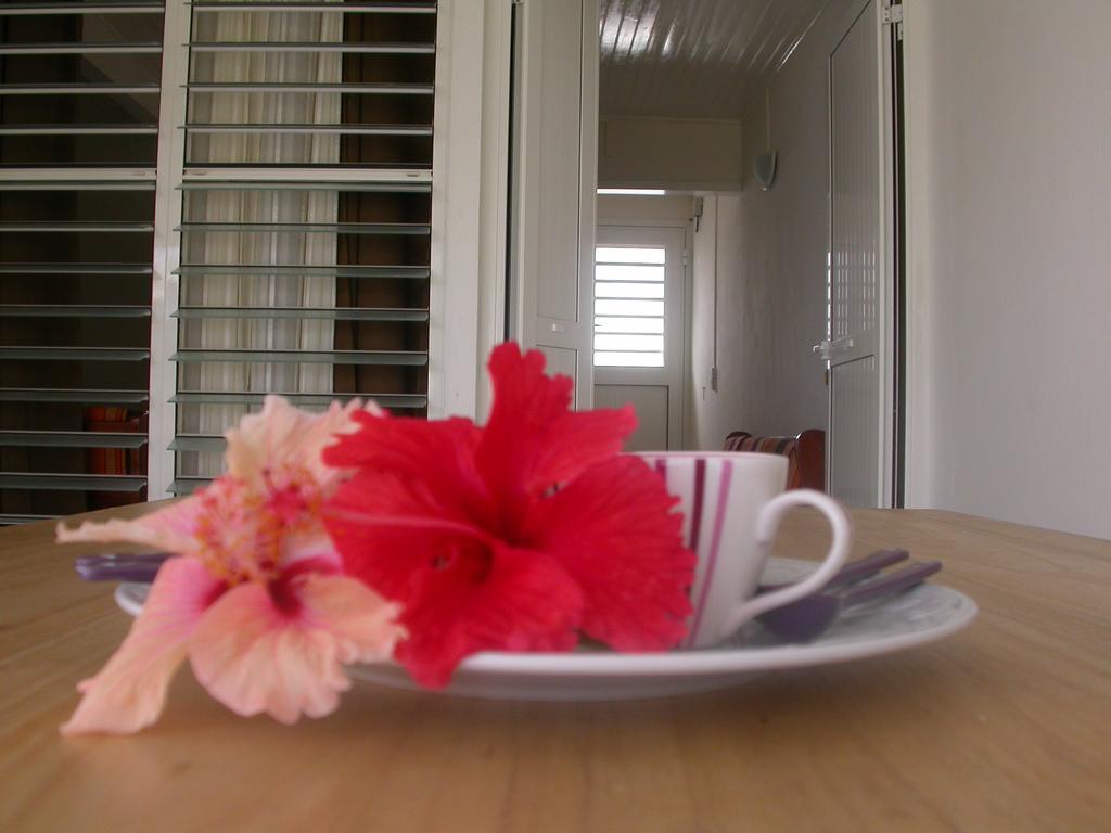 圣安娜Maison De Vacances A St Anne Martinique别墅 外观 照片